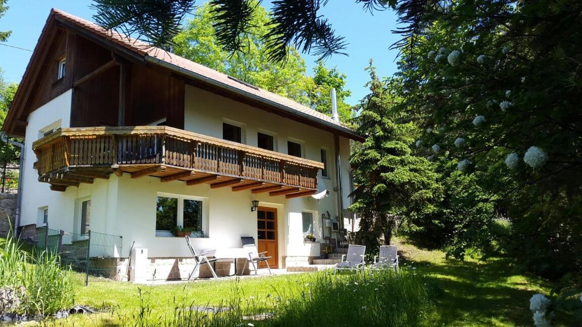Ferienhaus "Am Schleifenbach" Saalfeld Saale 외부 사진