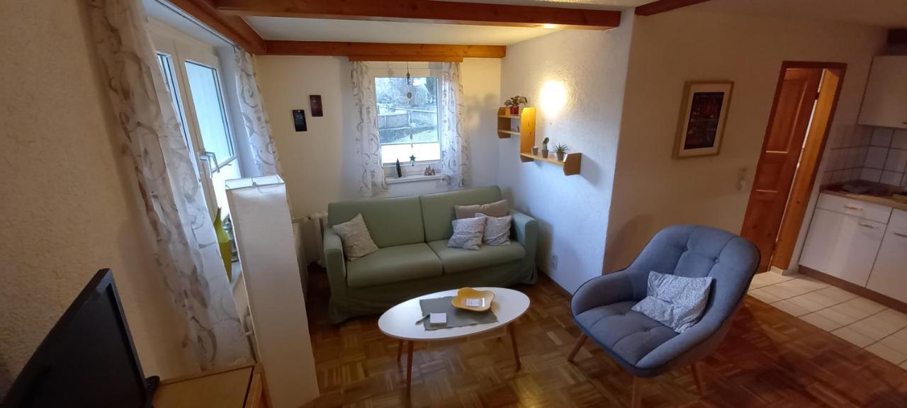 Ferienhaus "Am Schleifenbach" Saalfeld Saale 외부 사진